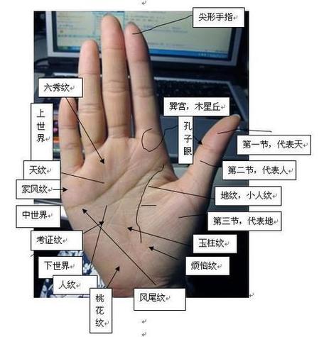 手相哪条是事业线你知道吗