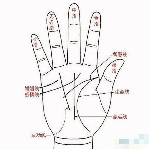手相金星纹解析
