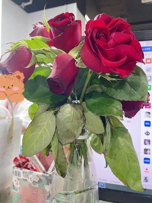 梦见枯萎的玫瑰花怎么回事