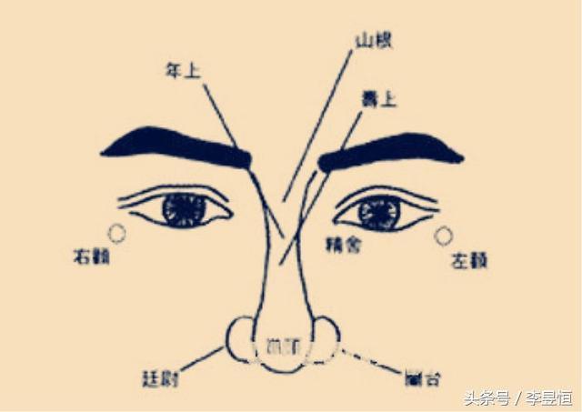 鼻子看相:男人鼻头有肉面相图解
