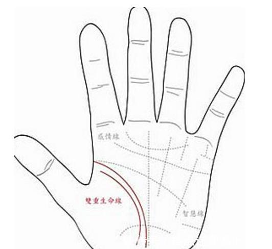 女人右手生命线有两条