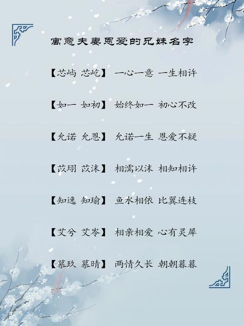 双胞胎儿子取名推荐使用的几个名字!
