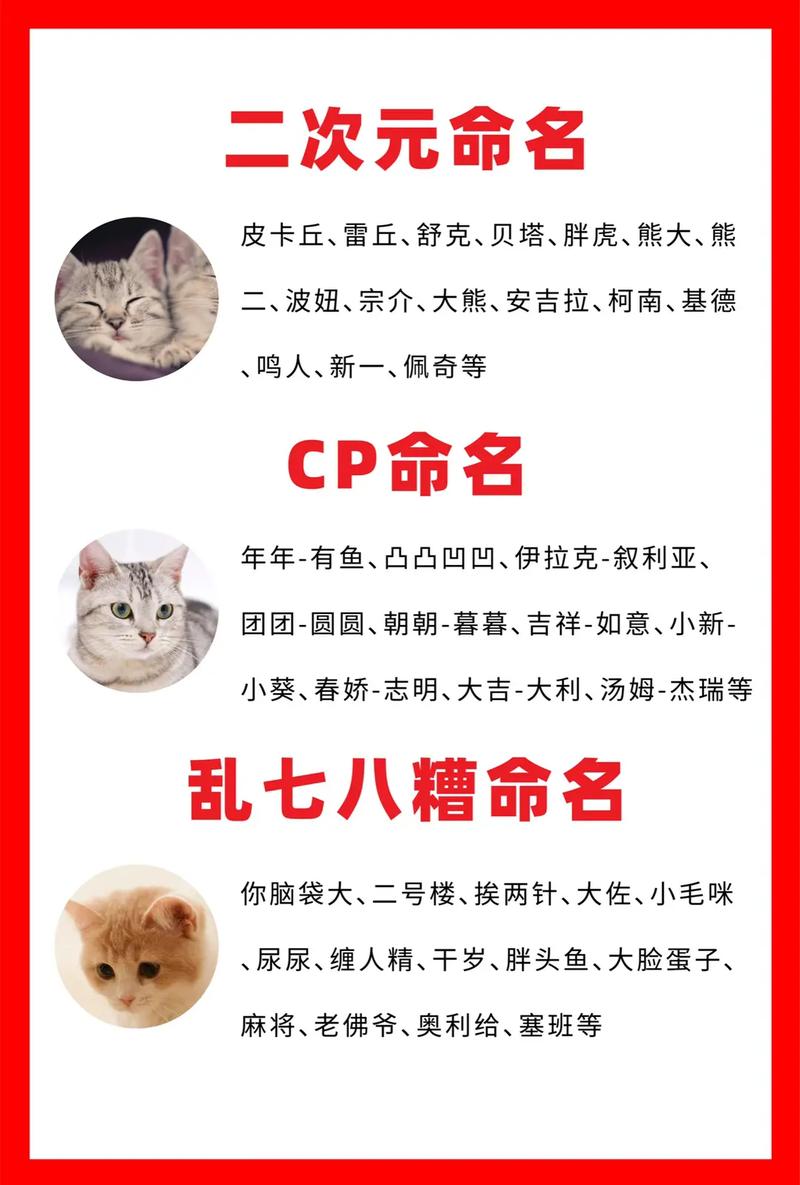 猫咪的名字大全