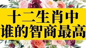 惠指的什么生肖