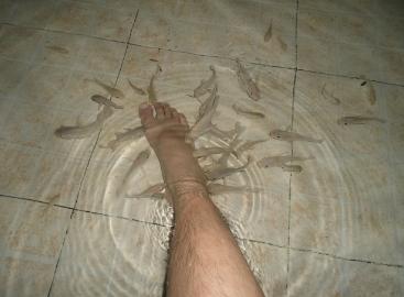 梦见被鱼咬了腿
