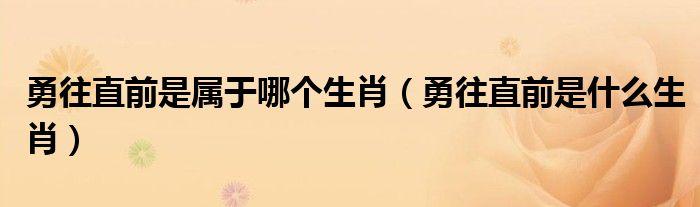 面对挫折只会勇往直前的生肖