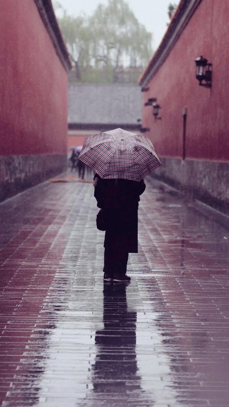 为什么清明老是下雨
