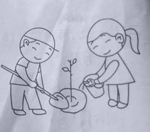 梦见妈妈挖树