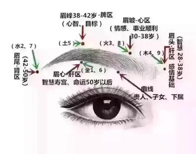 眉毛的风水 眉毛风水图解大全