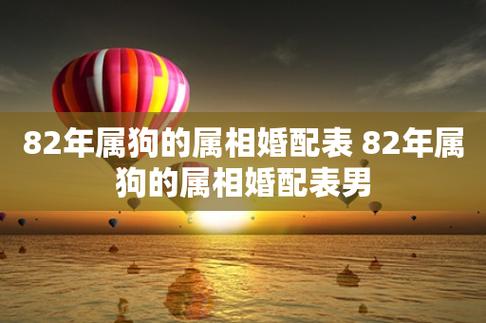 男狗最佳婚配属相是什么