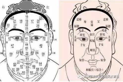 伏羲骨怎么看?最快速的辨别方法