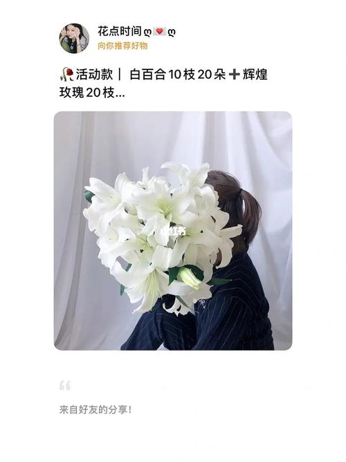 20枝百合的花语?20枝百合代表什么意思?