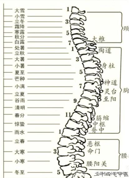 推拿二十四气全身口诀