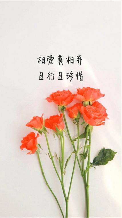 相爱不易 相爱不易,彼此珍惜句子