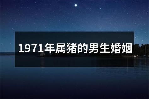 1971年属猪的男人几个女人