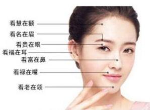 看耳朵面相知性格