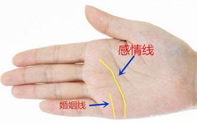 什么样的婚姻线能使家庭幸福美满
