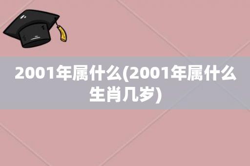 2001年属什么生肖年是什么年