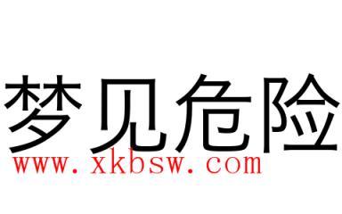 梦见危险是什么意思