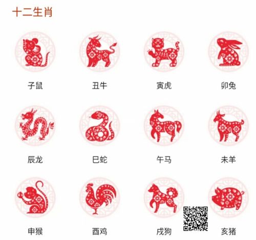2021年十二生肖事业运