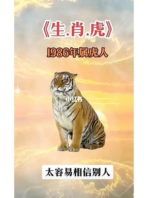 属虎今年下半年事业运