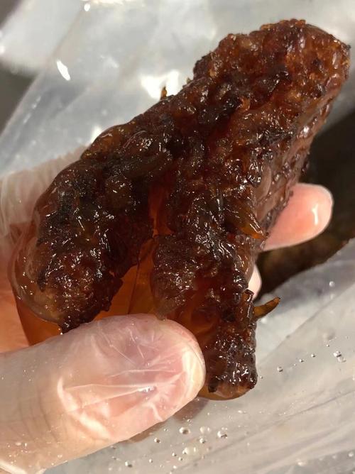 梦见人家送葡萄和海蜇