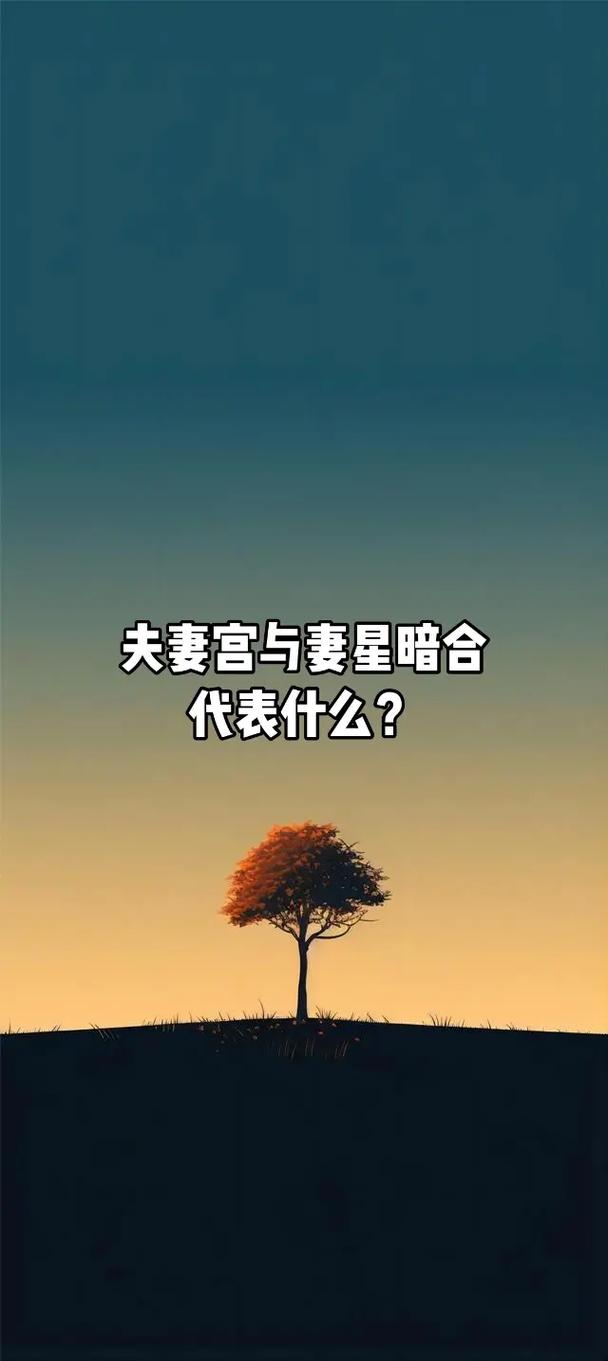 男女双方日支暗合