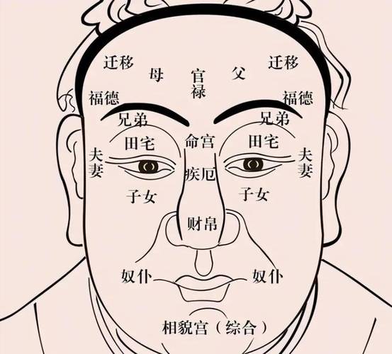 面相分析当官的人