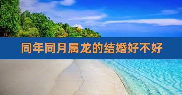 男龙女龙结婚好么？