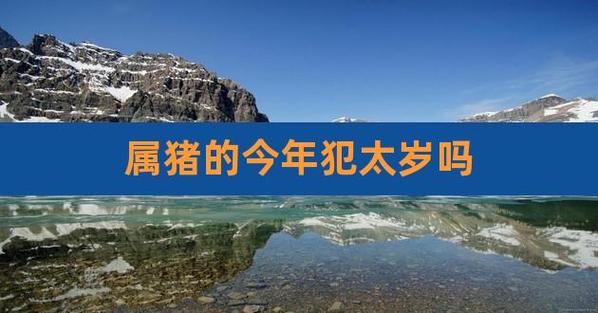 生肖属猪的2021年犯太岁吗