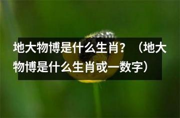 最容易成为大老板的三大生肖是什么