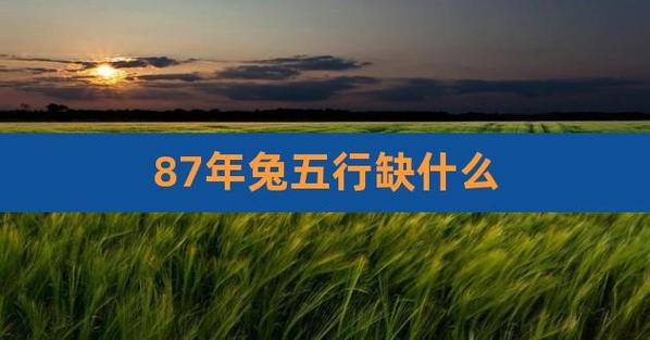 属兔87年五行属火命中缺金