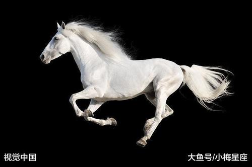 5月下旬有缘来,财禄难防3大生肖,日进斗金,翻身成为富豪