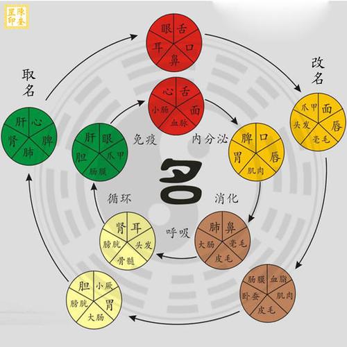 周易:起名改名之中的常见误区