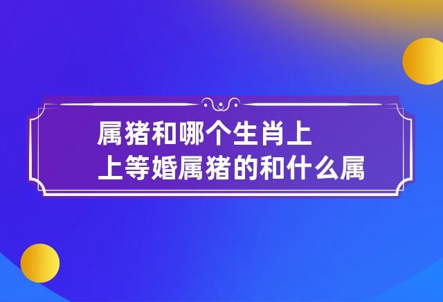 属猪和属猪是上等婚嫁吗