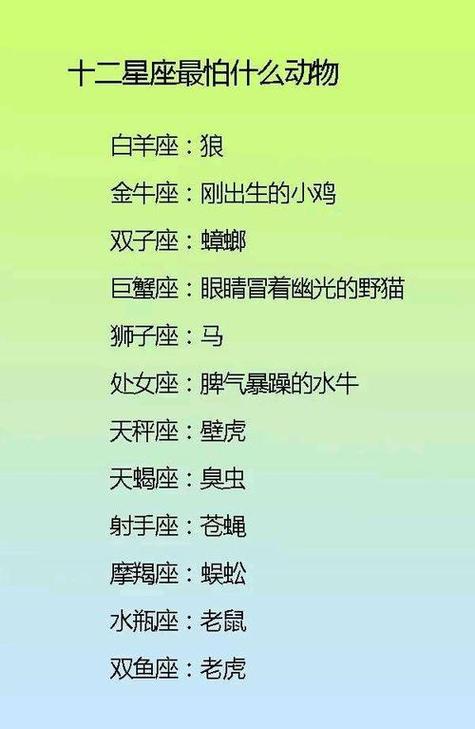 哪个星座最笨 你的星座上榜了吗