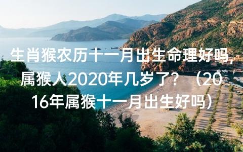 属猴农历十一月出生好吗