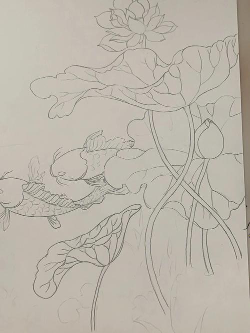 梦见鱼和荷花
