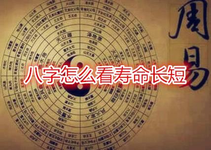 什么样的八字寿命长