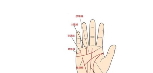 男生手相事业线图解大全,什么样的事业线好?