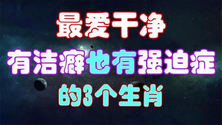 爱干净,患有强迫症的生肖