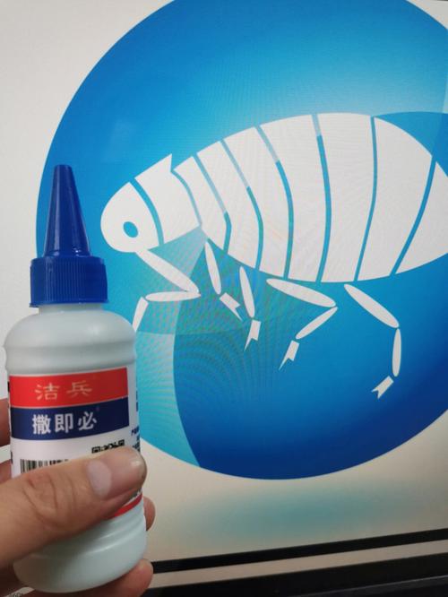 梦见跳蚤吸我的血
