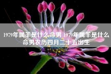 1979年出生的人是什么命