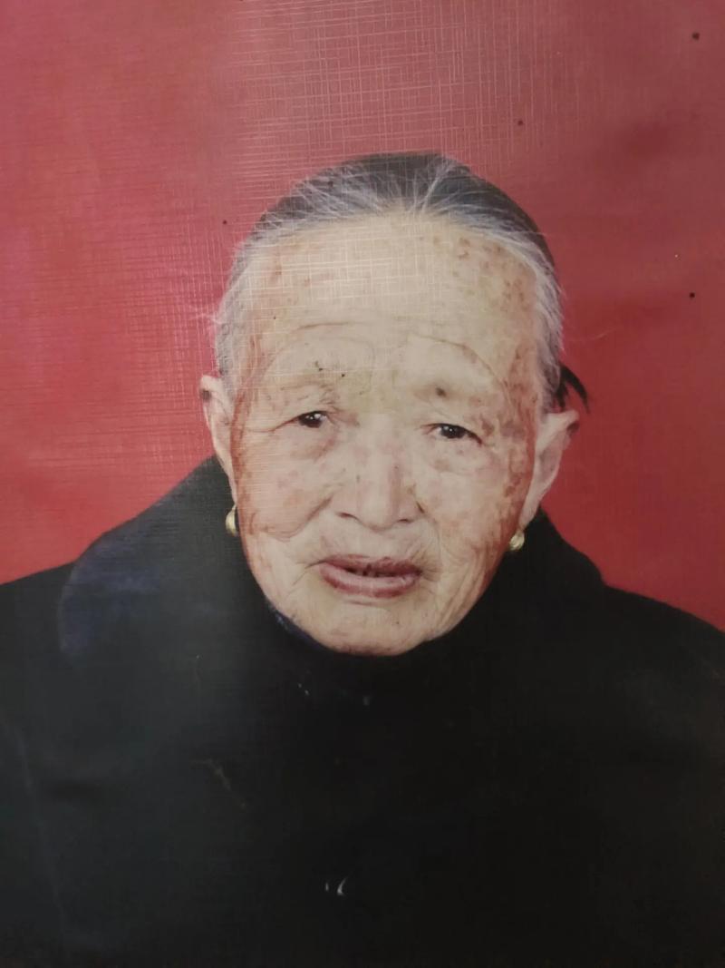 梦见三棵大树
