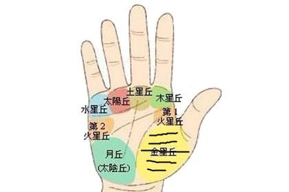 手相金星丘代表什么意思