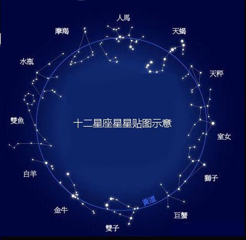 在喜欢的领域里能够发光发亮的星座
