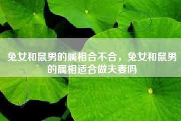 属兔女和属鼠男的相配吗