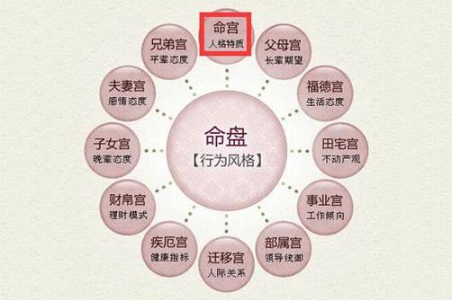 子女宫是什么意思?怎么算命?