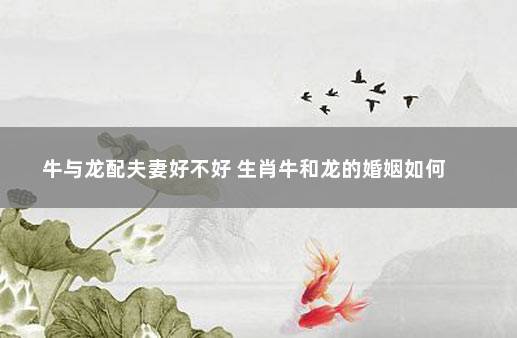如何与属牛的人成为最模范的夫妻(一)
