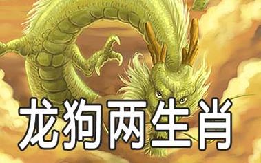 属龙和属狗姻缘怎么样